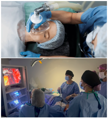 Laparoscopia Dra Suéllen 